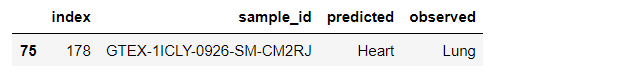 _images/mislabeled_lung.png